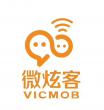 揚中市微炫客信息技術咨詢服務有限公司